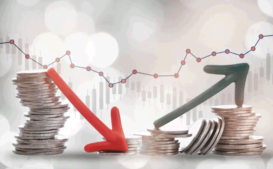 الاستثمار وتنمية الموارد